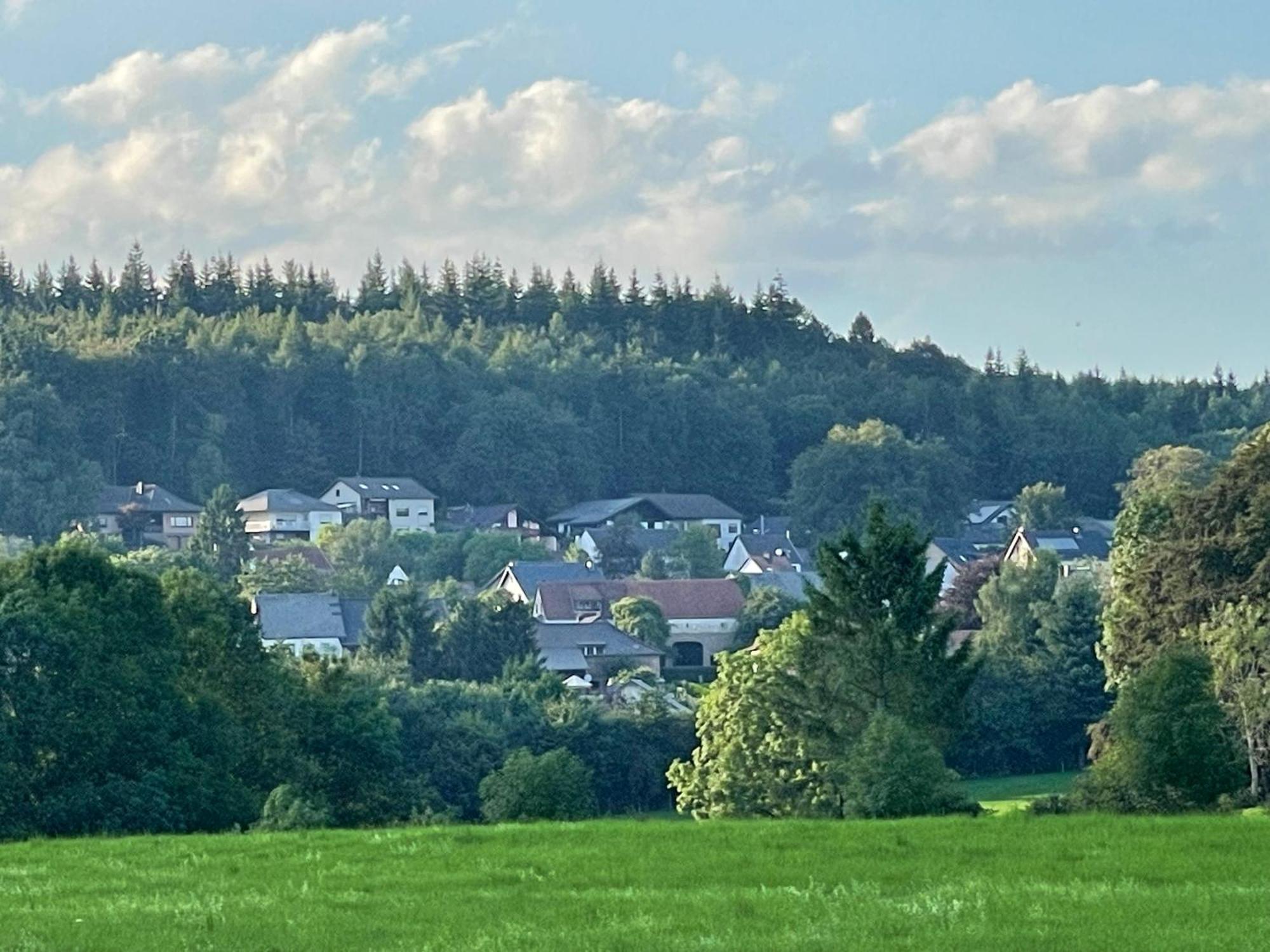 Ferienhaus Eifelblick Feusdorf 外观 照片